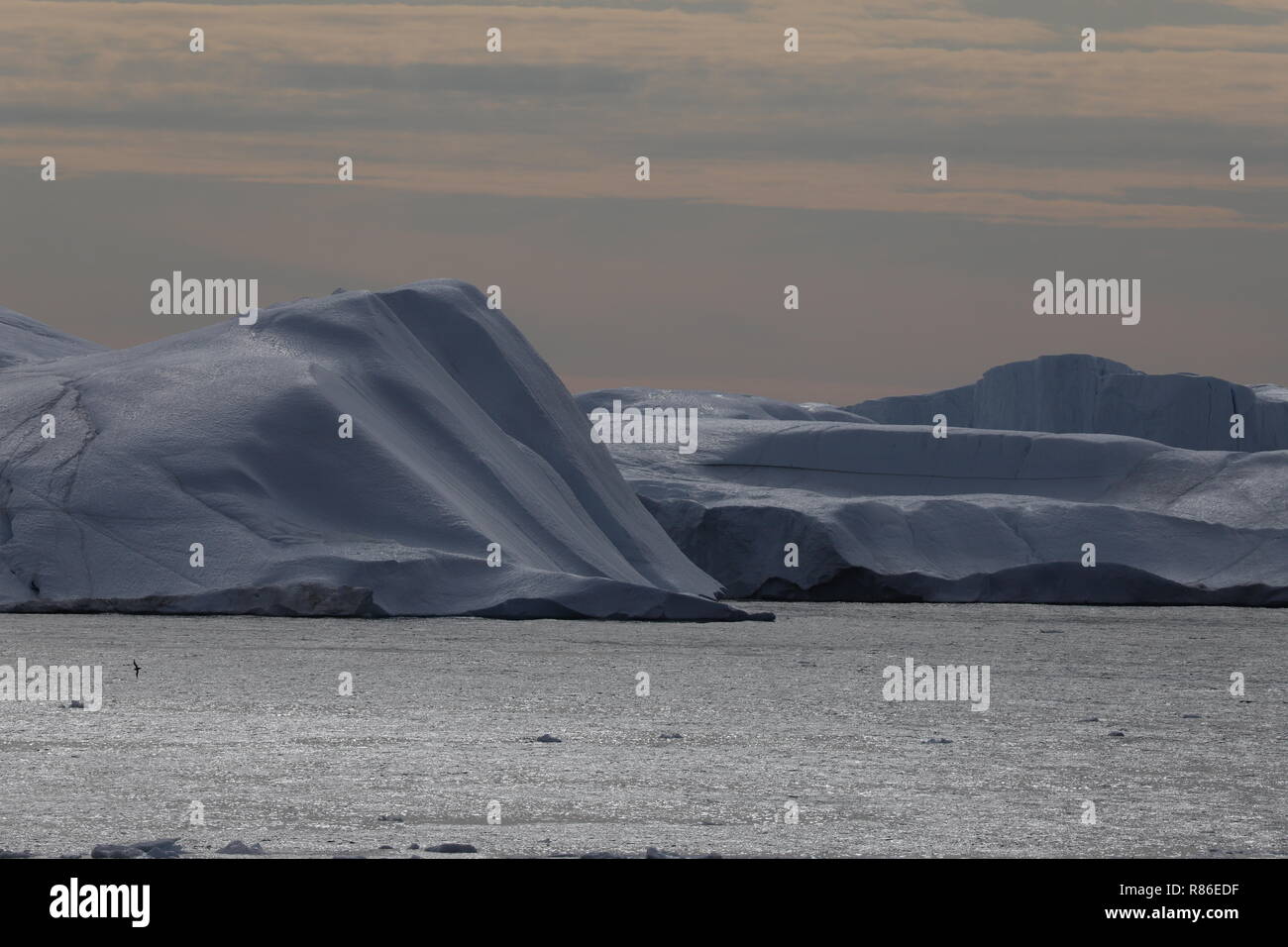 Grönland Disko Bucht: Landschaft mit Eisbergen Stockfoto