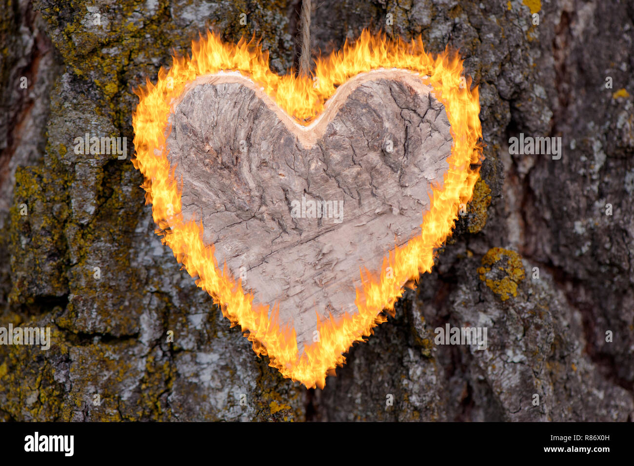 Brennendes Herz für die Liebe Stockfoto