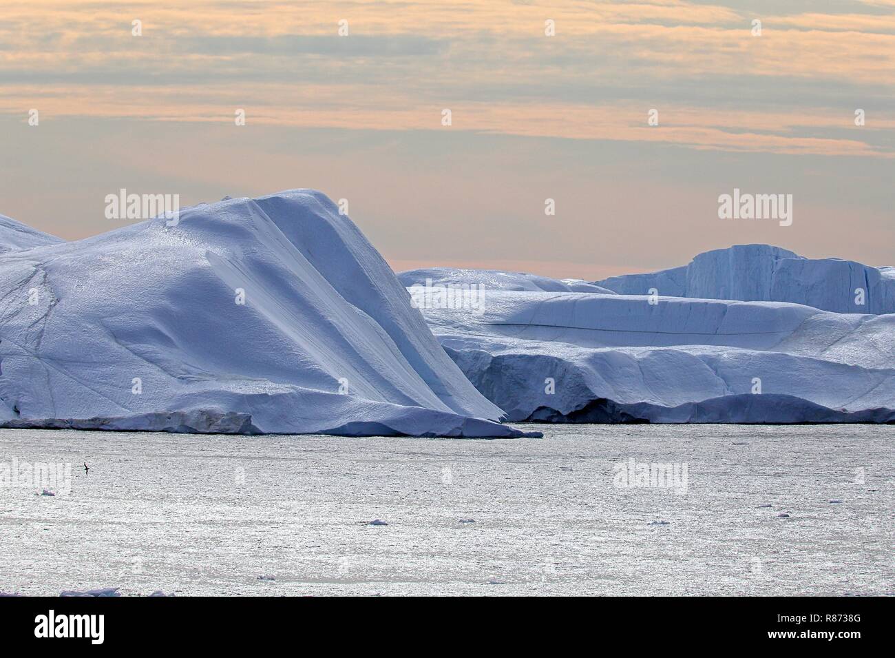 Ilulissat Eisberge am Abend: Eiskalte Schönheiten. Stockfoto