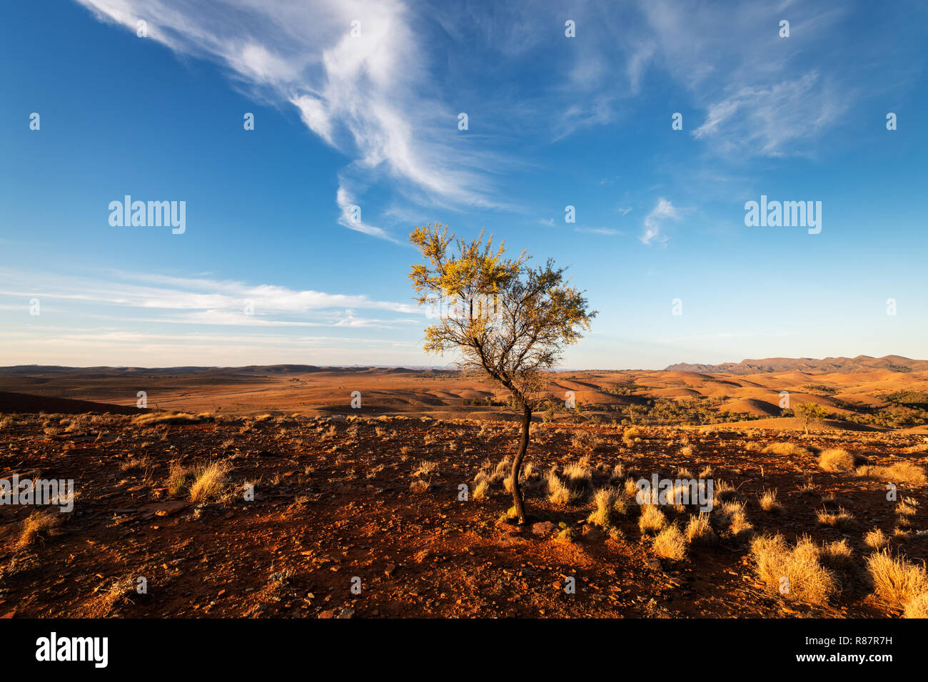 Raue und wilde Landschaft der Flinders Ranges. Stockfoto