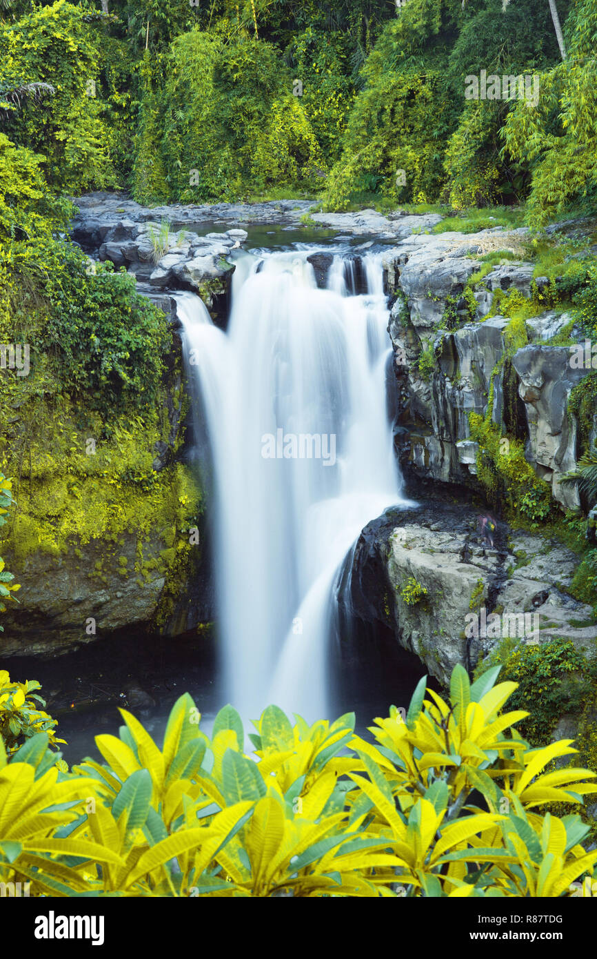 Leeren Hintergrund mit großen Wasserfall in tropischen Wald Stockfoto