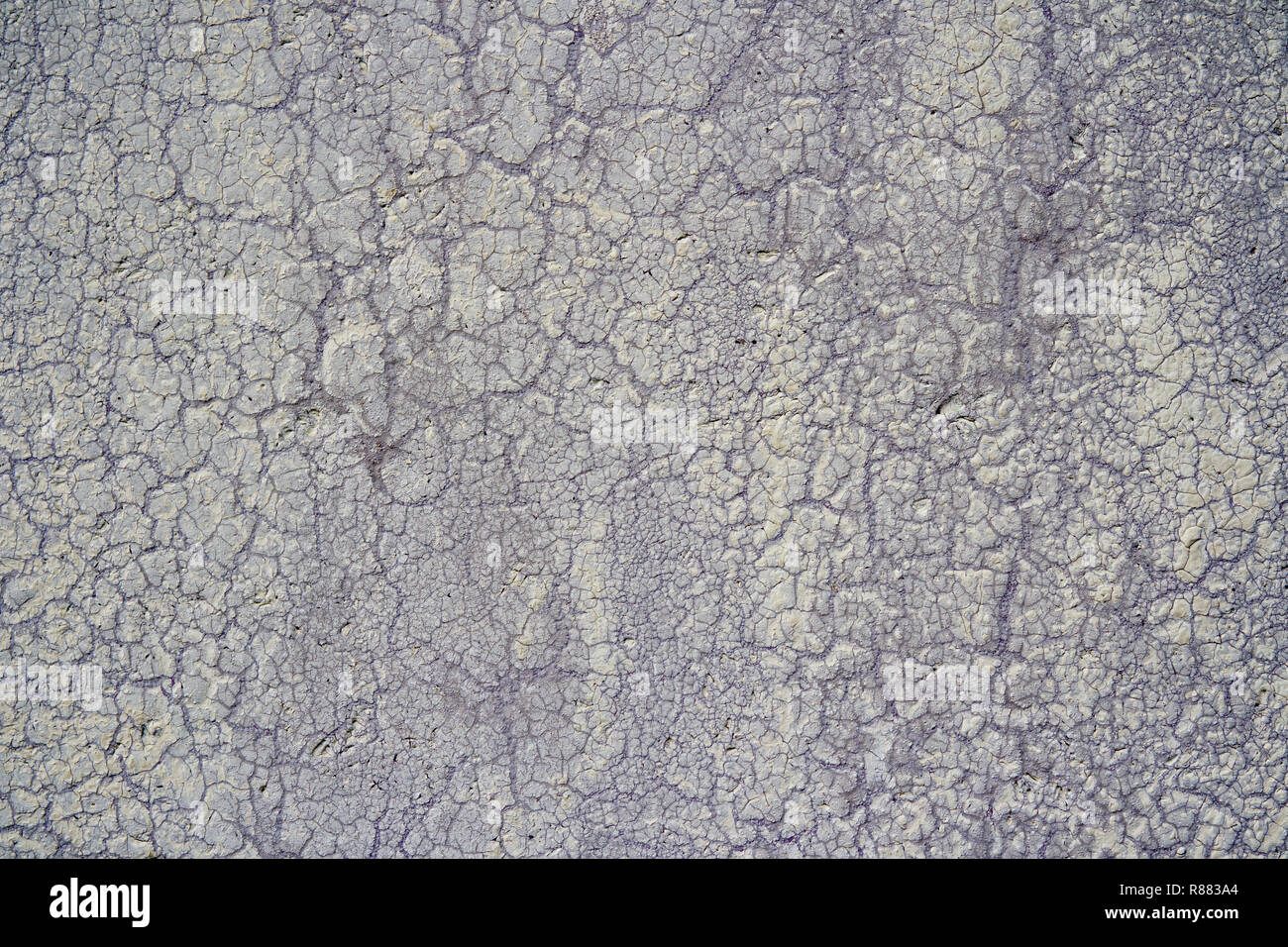 Alte verwitterte woden Platte mit Risse im Zahnschmelz. Stockfoto