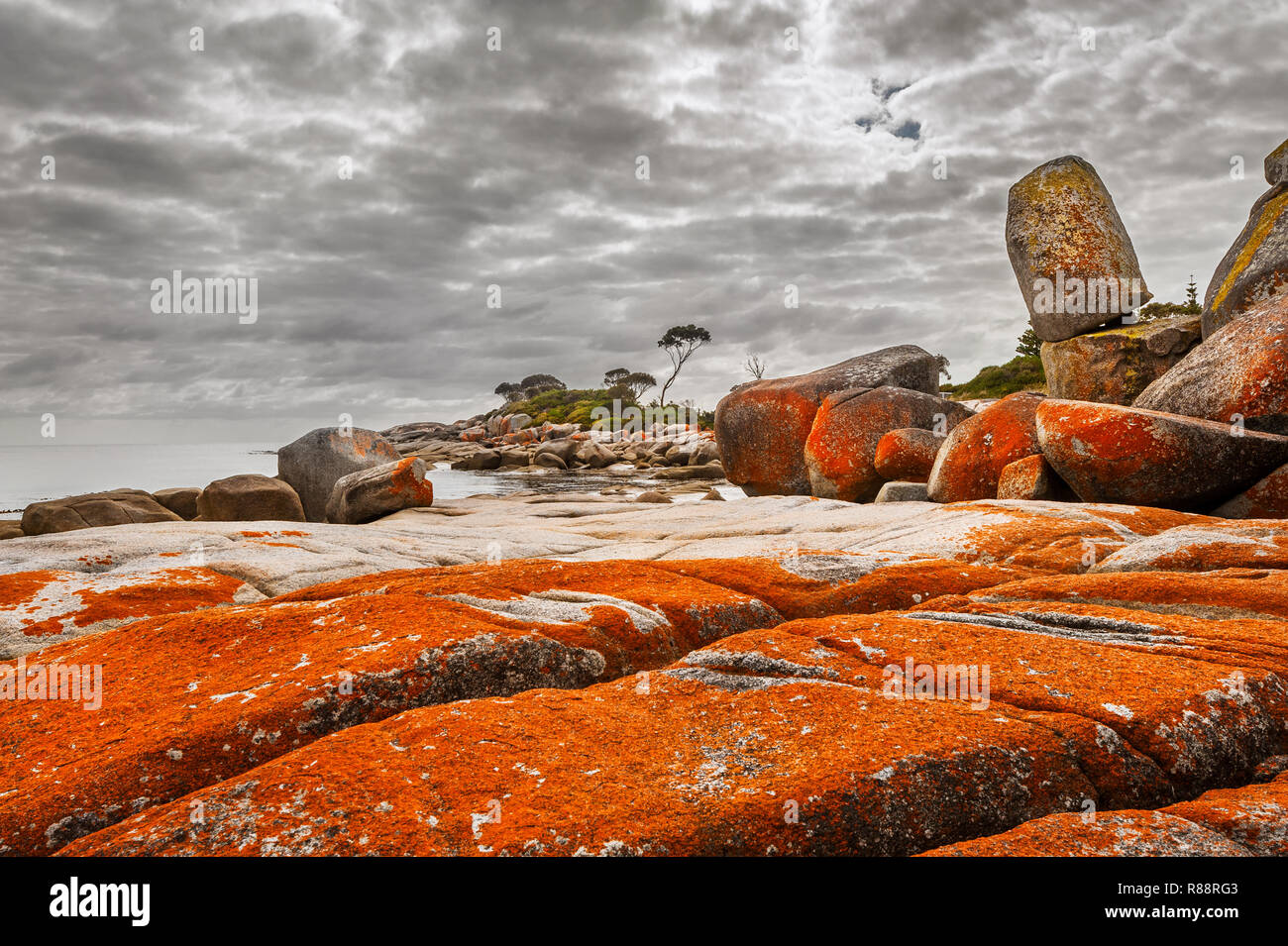 Flechten bewachsene Felsen in Binalong Bay. Stockfoto