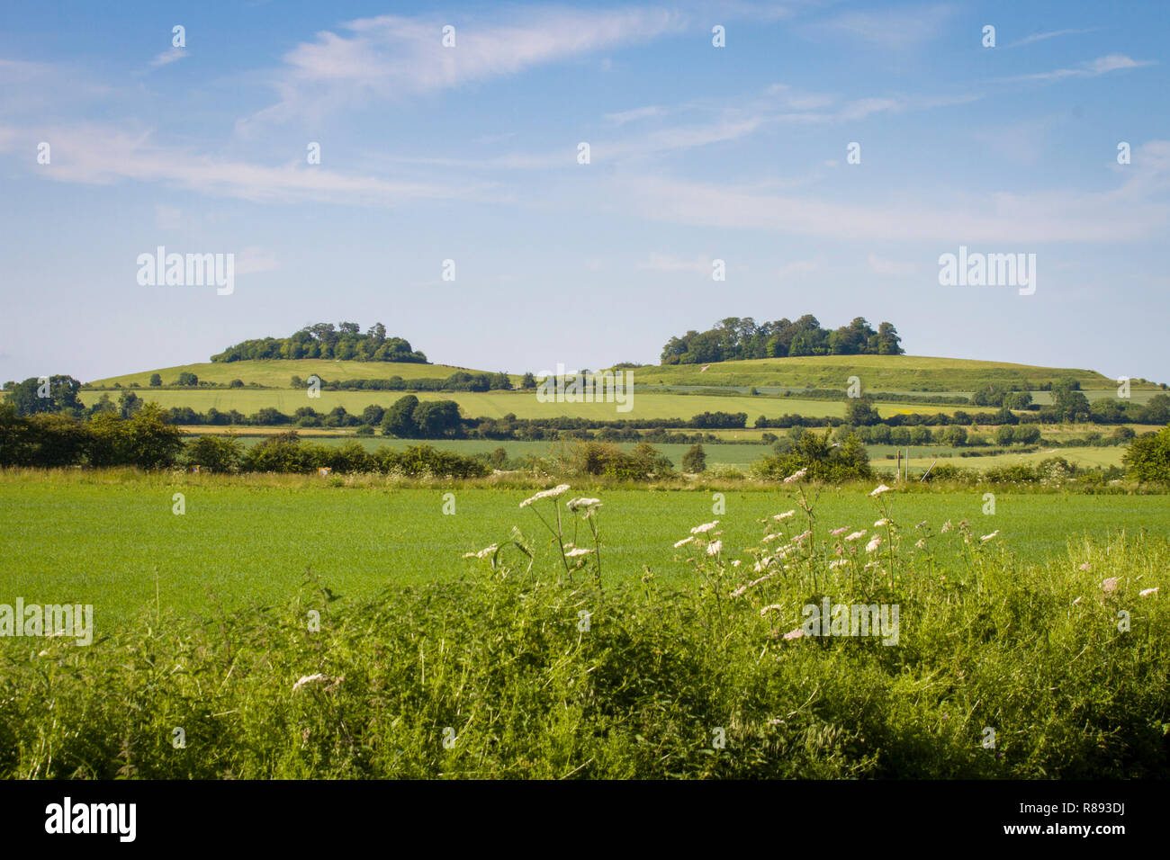 Wittenham Klümpchen, Oxfordshire, aus dem Westen mit runden Hügel auf der linken Seite und Castle Hill auf der rechten Seite Stockfoto