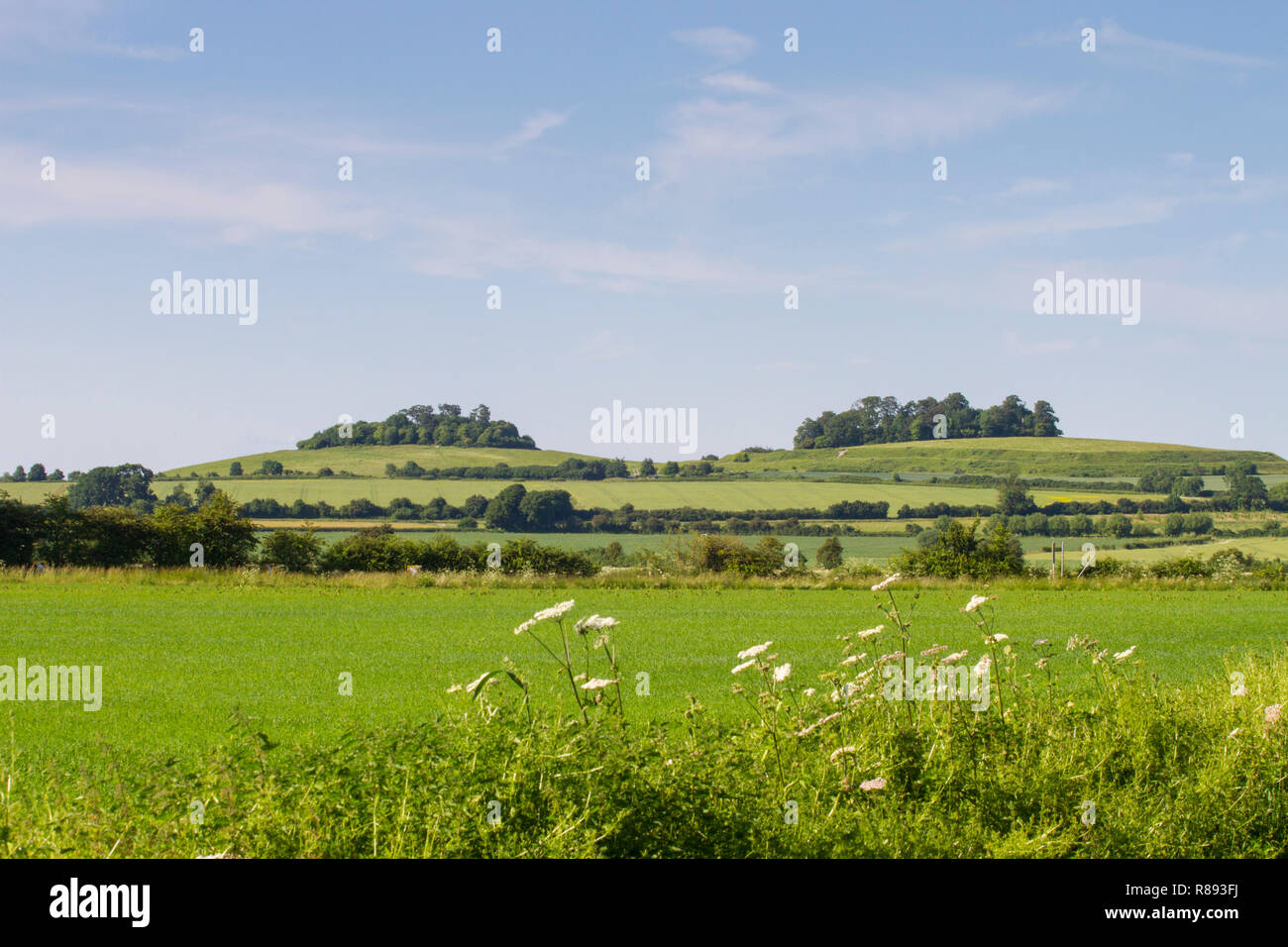 Wittenham Klümpchen, Oxfordshire, aus dem Westen mit runden Hügel auf der linken Seite und Castle Hill auf der rechten Seite Stockfoto