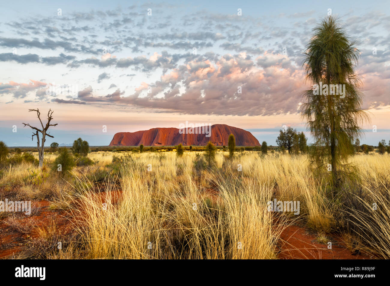 Die herrlichen und berühmten Uluru im roten Zentrum Australiens. Stockfoto