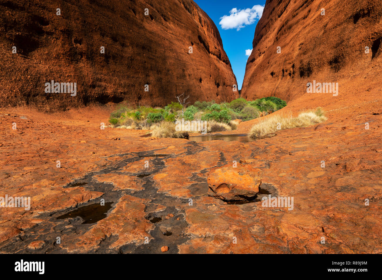 Schöne Walpa Gorge im Herzen von Kata Tjuta. Stockfoto