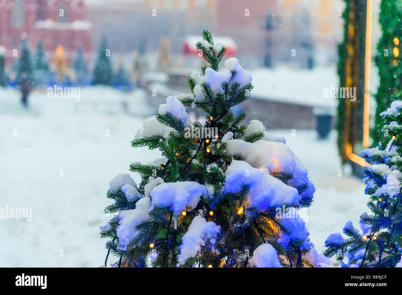 Grün mit Schnee bedeckt Fichte, gekleidet mit einem leuchtenden Girlande Stockfoto