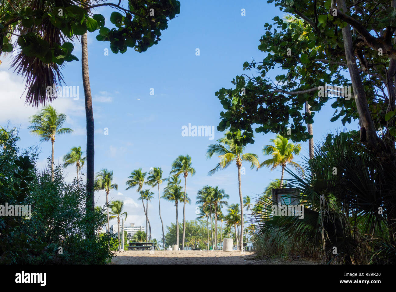 Eingang zum Strand bei Fort Lauderdale von B Ocean Resort Stockfoto