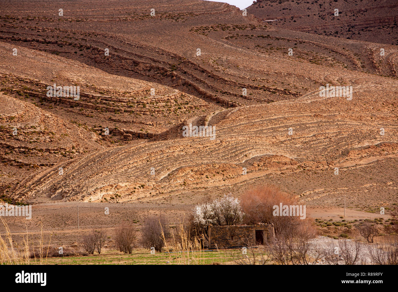 Marokko Todra-schlucht, Tinghir, Geologie, erodiert Gesteinsschichten Stockfoto