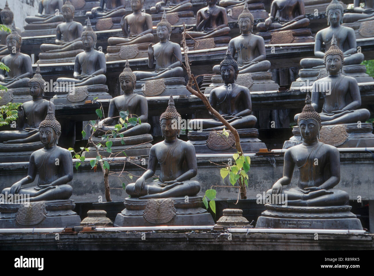 Buddha Tempel, Colombo, Sri Lanka, Asien Stockfoto