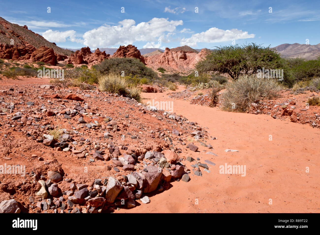 Roter Sand, Wüste, Anden, Argentinien Stockfoto