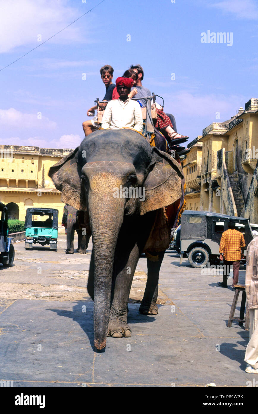 Elefanten reiten, Amber Fort, Jaipur, Rajasthan, Indien Stockfoto