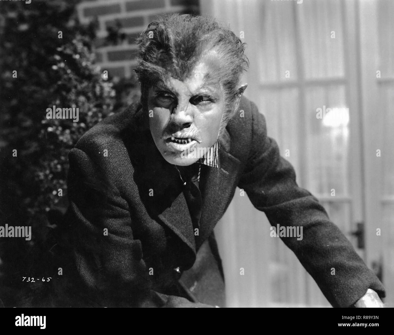 Werwolf von London Jahr: 1935 USA Regie: Stuart Walker Henry Hull Stockfoto