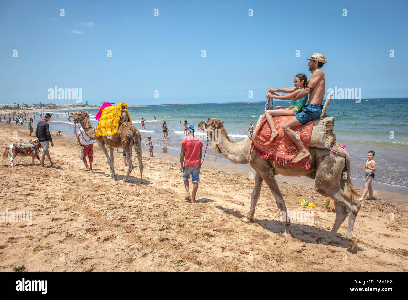 Ein Vater und eine Tochter Fahrt ein Kamel auf den Stränden von Bouznika, Casablanca-Settat, Benslimane, Marokko Stockfoto