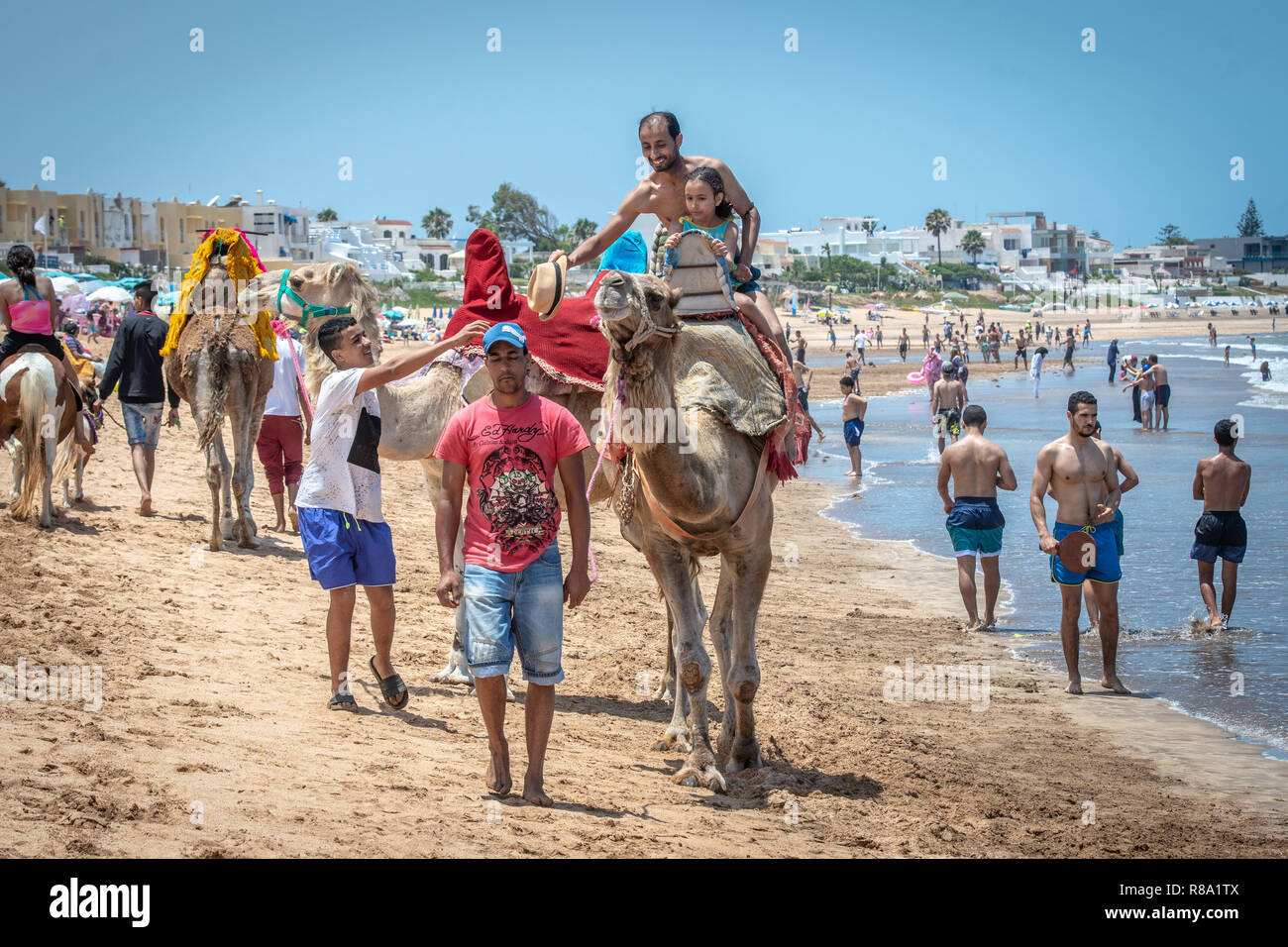 Ein Vater und eine Tochter Fahrt ein Kamel auf den Stränden von Bouznika, Casablanca-Settat, Benslimane, Marokko Stockfoto