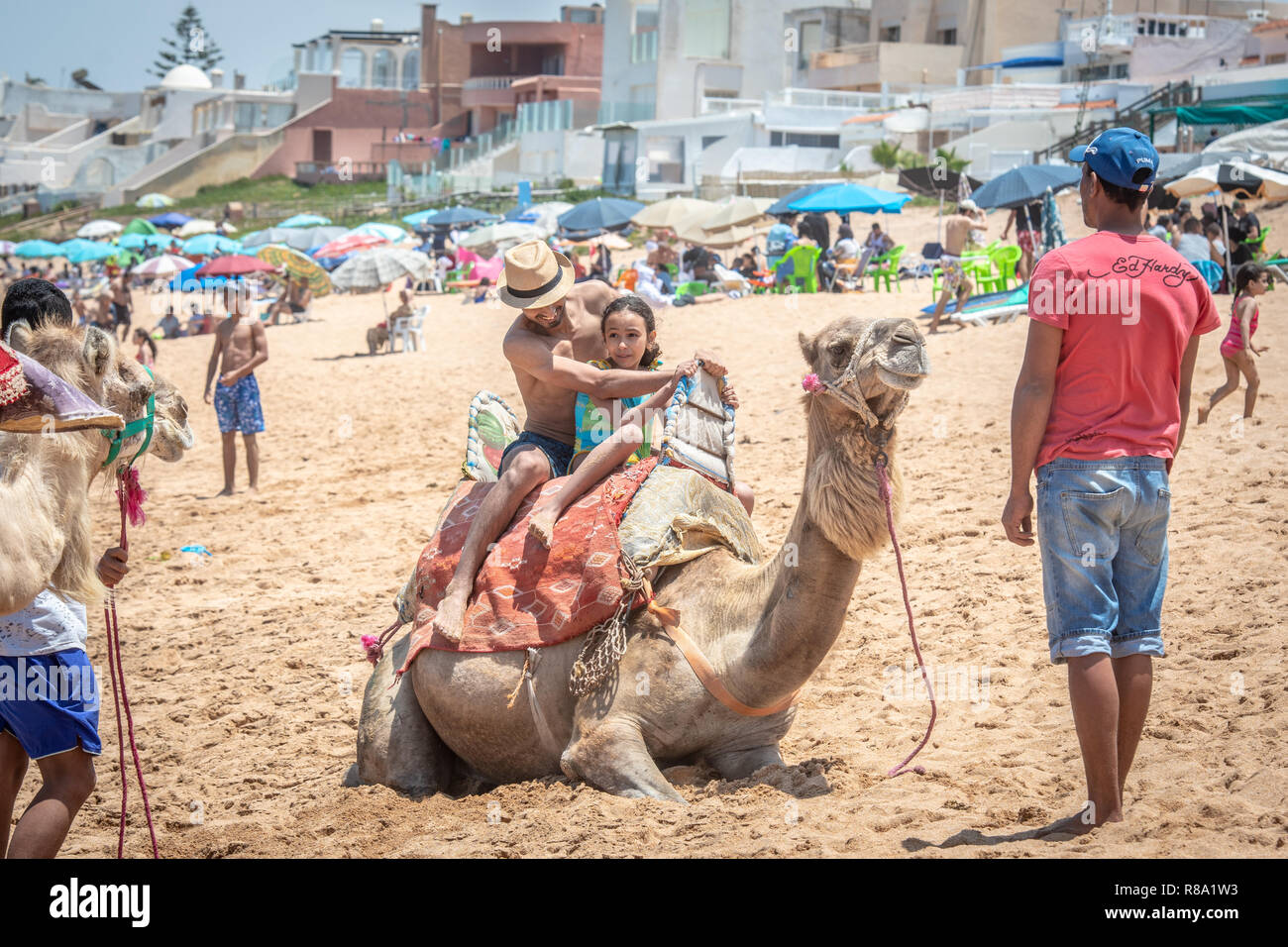 Ein Vater und eine Tochter bereiten ein Kamel auf den Stränden von Bouznika, Casablanca-Settat, Benslimane, Marokko zu fahren Stockfoto