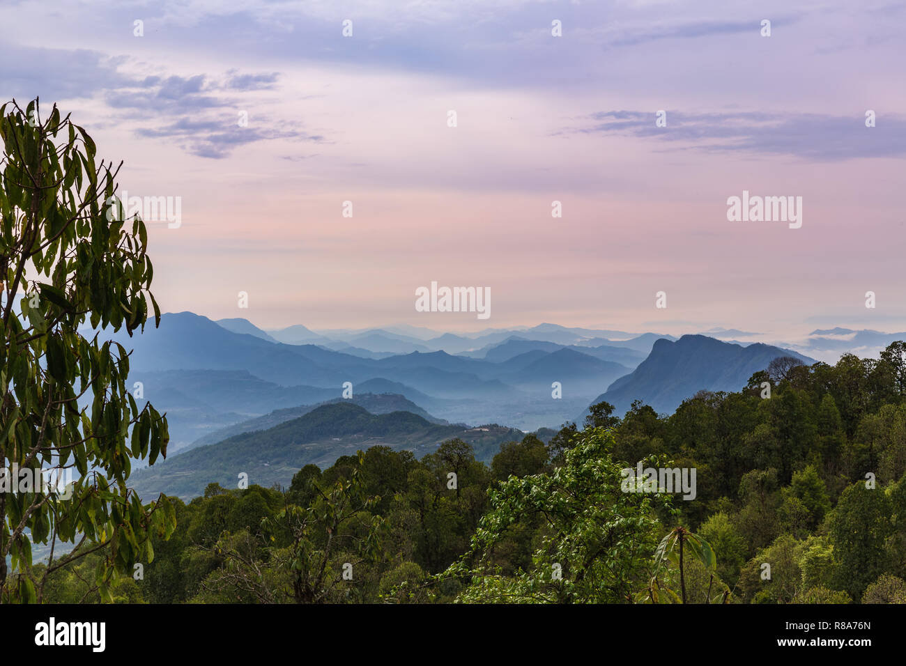 Schönen lila Sunrise und morgen Nebel über dem Annapurna Himal Hügel, Nepal, Himalaya, Asien Stockfoto