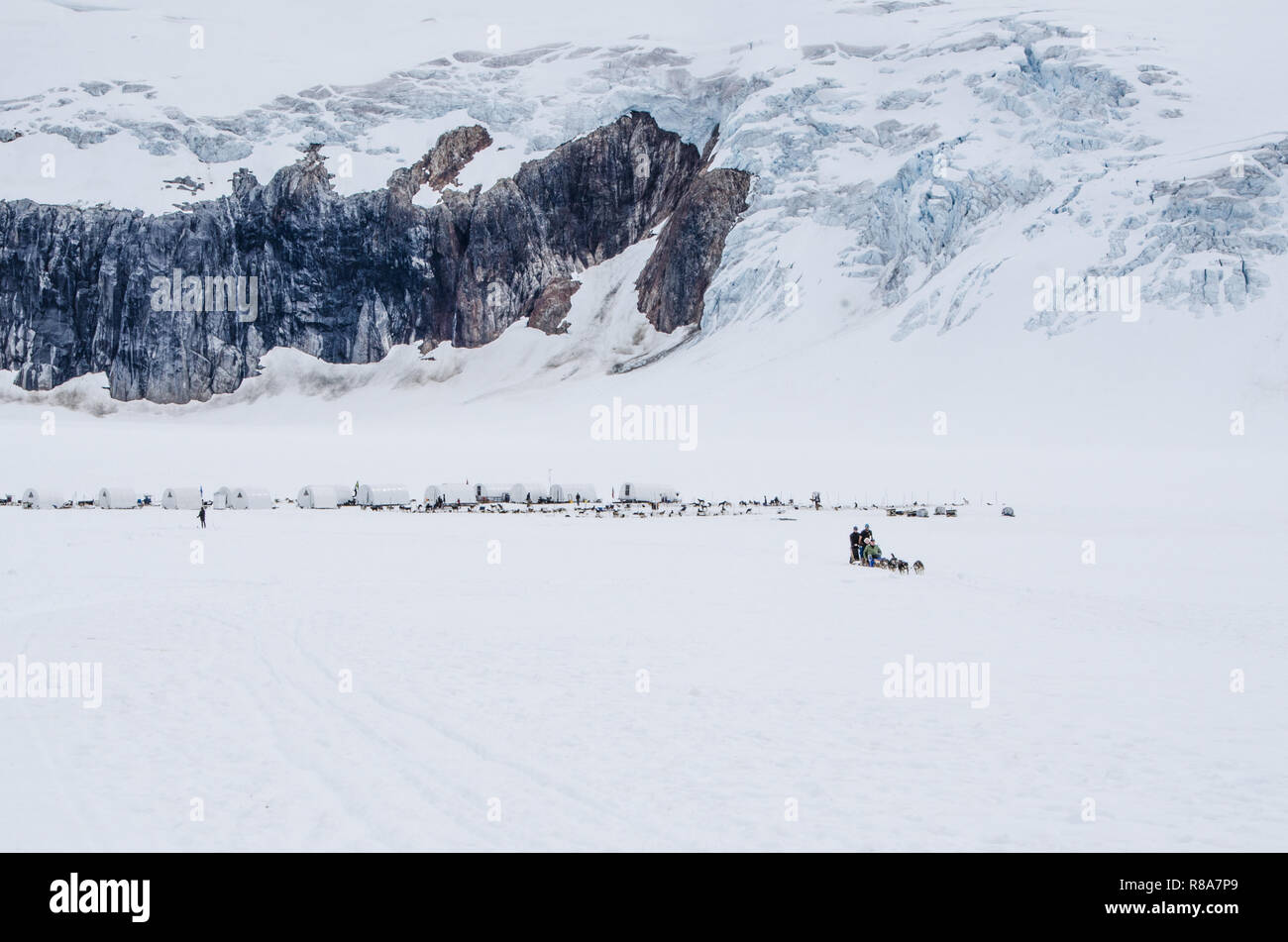 Touristische genießen Sie den Nervenkitzel von Hundeschlitten, Reiten, heraus aus dem Mendenhall Gletscher Camp von massiven Bergkette in den Schatten gestellt. Stockfoto