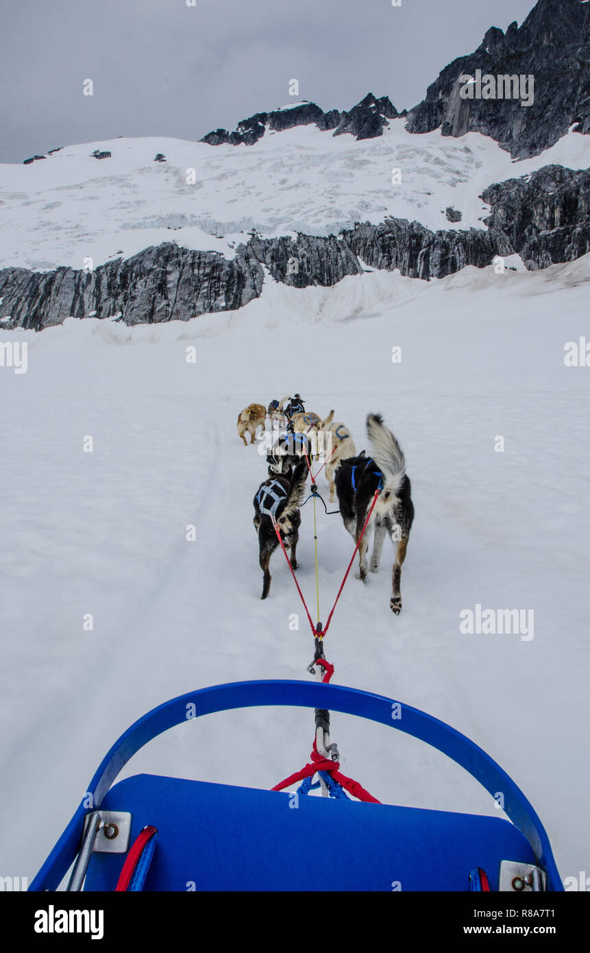 Riders (Musher) Perspektive der Hundeschlitten durch den Schnee. Hundeschlitten einen extremen Winter Abenteuer Sport und beliebte touristische Aktivität. Stockfoto