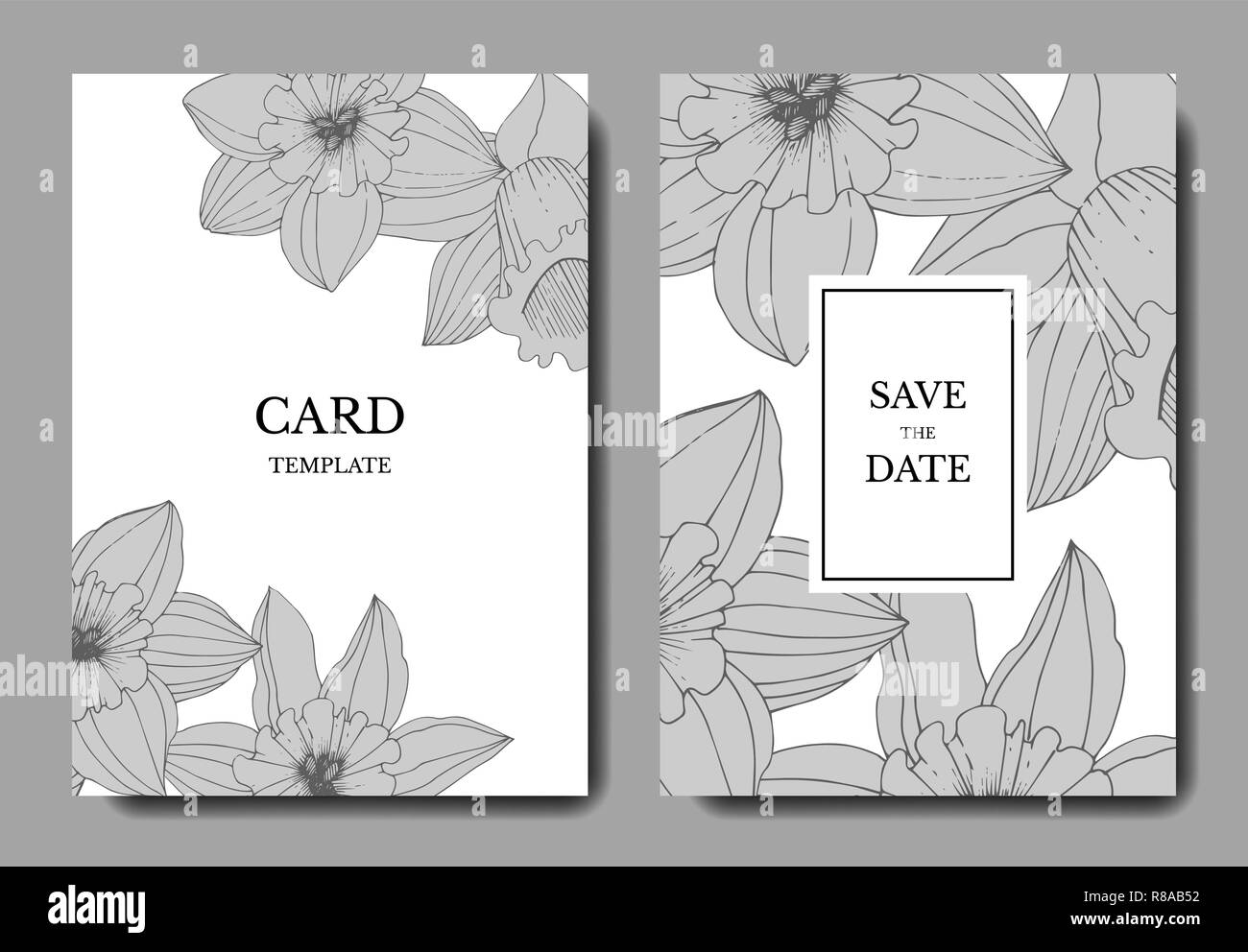 Vektor Narzisse. Hochzeit hintergrund Karte Blumen dekorativ Grenze. Schwarz und weiß eingraviert Tinte Art. Vielen Dank, Rsvp, Einladung elegante Karte illustr Stock Vektor