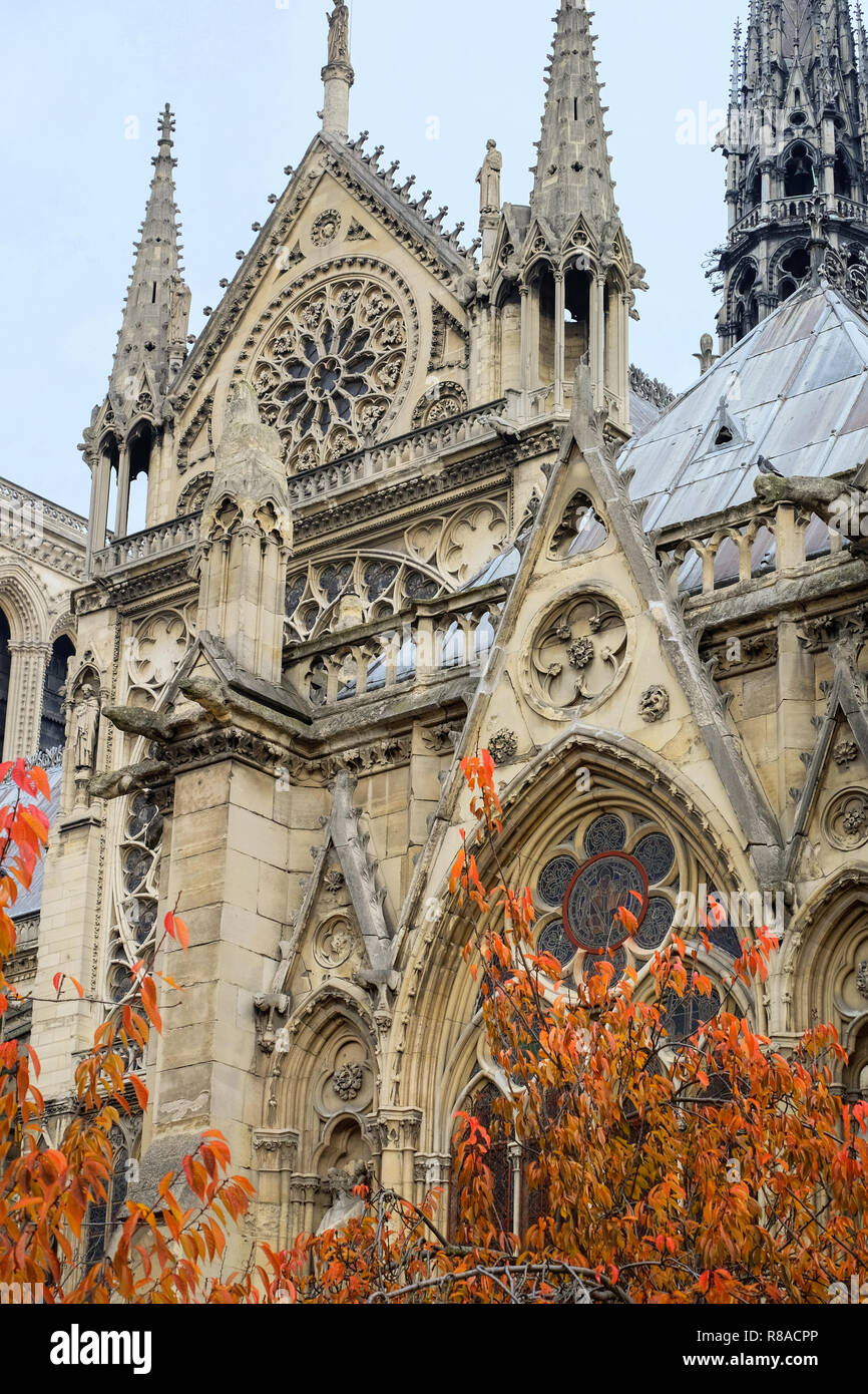 Die Kathedrale Notre Dame de Paris, die schöne Kathedrale in Parisl. Frankreich. Stockfoto