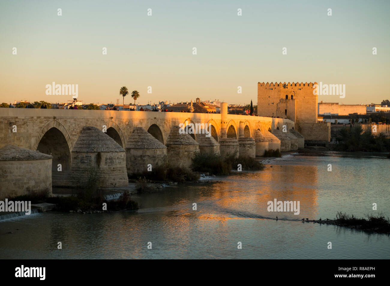 Römische Brücke mit Calahorra Turm, Torre de la Calahorra, Spanning Guadalquivir, Cordoba bei Sonnenuntergang, Cordoba, Andalusien, Spanien. Stockfoto