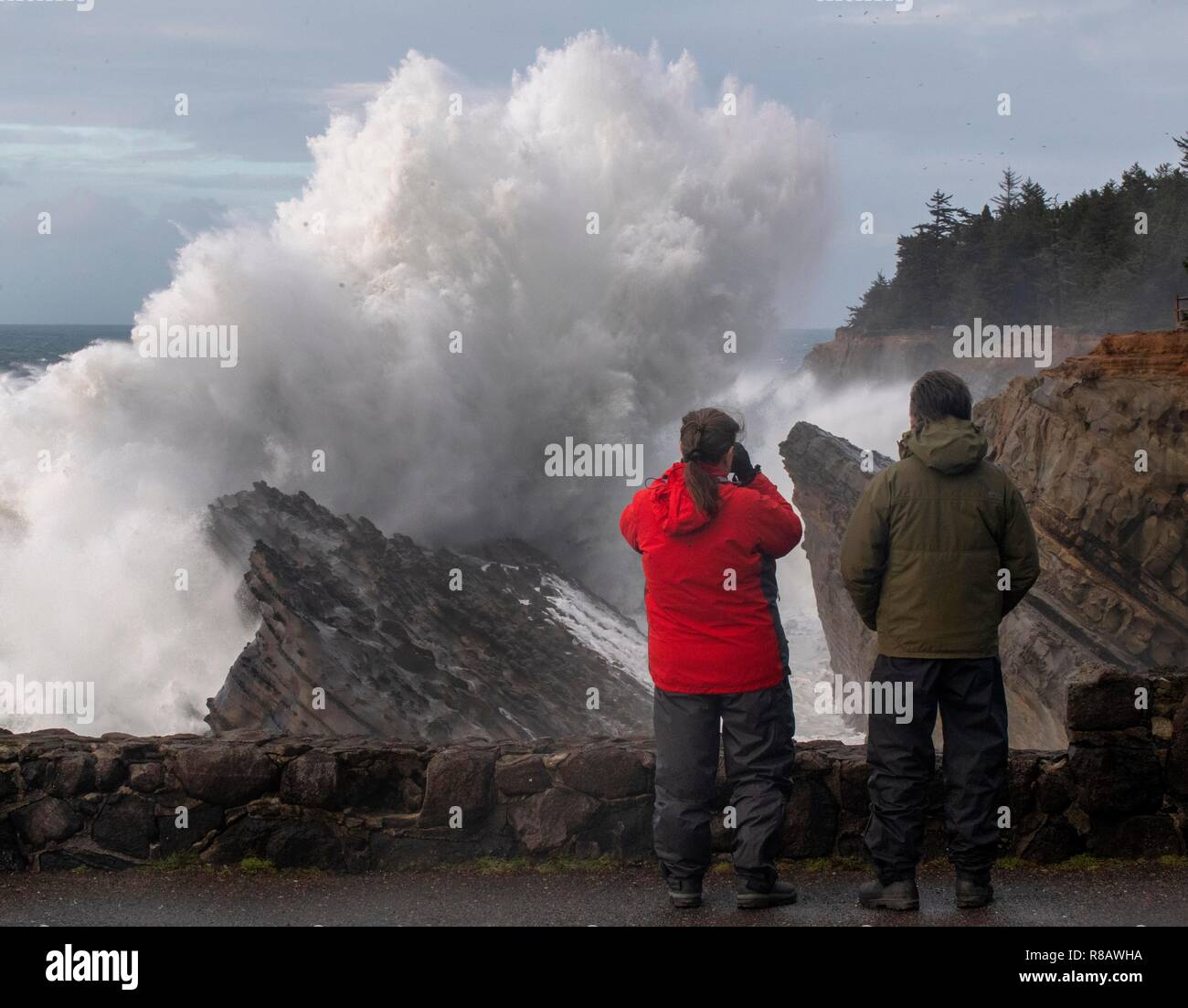 Charleston, Illinois, USA. 14 Dez, 2018. Sturm Watchers in einem anzeigebereich sind als massive Welle stürzt gegen Felsen bei Shore Acres State Park in der Nähe von Charleston an der südlichen Küste von Oregon in den Schatten gestellt. Der National Weather Service eine hohe Brandung Warnung für Oregon mit starken Strömung West vorhergesagt Leistungsschalter von 28 bis 32 Fuß durch Montag Nachmittag zu erstellen. Credit: Robin Loznak/ZUMA Draht/Alamy leben Nachrichten Stockfoto