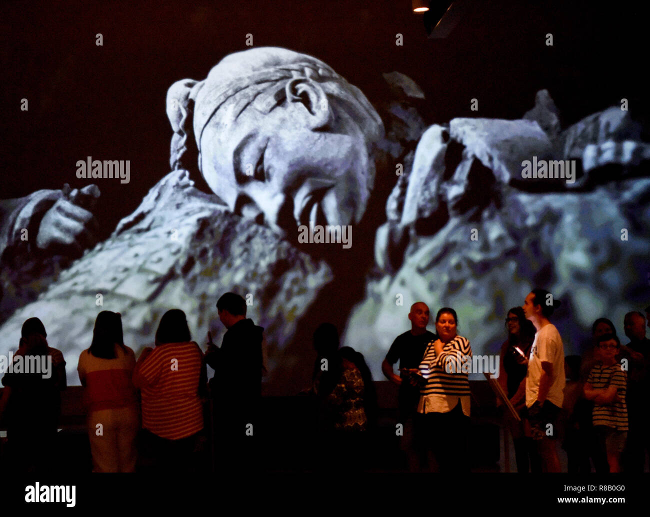 (181215) -- WELLINGTON, Dez. 15, 2018 (Xinhua) - Besucher warten Betreten der Ausstellung Terracotta Krieger: Hüter der Unsterblichkeit im Nationalmuseum von Neuseeland in Wellington, Neuseeland, am Dez. 15, 2018. Das Wahrzeichen der Ausstellung der Terrakotta-Krieger: Hüter der Unsterblichkeit zu öffentlichkeit am Samstag geöffnet im Nationalmuseum von Neuseeland. Die Ausstellung verfügt über acht Krieger stehend 180 cm hoch, und zwei Pferde aus die berühmte Terracotta Armee, sowie zwei halbe Größe replica Bronze von Pferden gezogenen Wagen. Zu sehen sind außerdem mehr als 160 vorzügliche Arbeiten Stockfoto