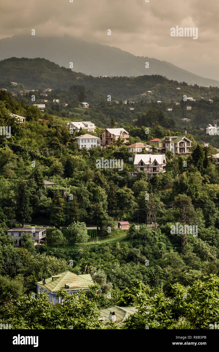 Batumi Botanischer Garten Stockfotos und bilder Kaufen Alamy