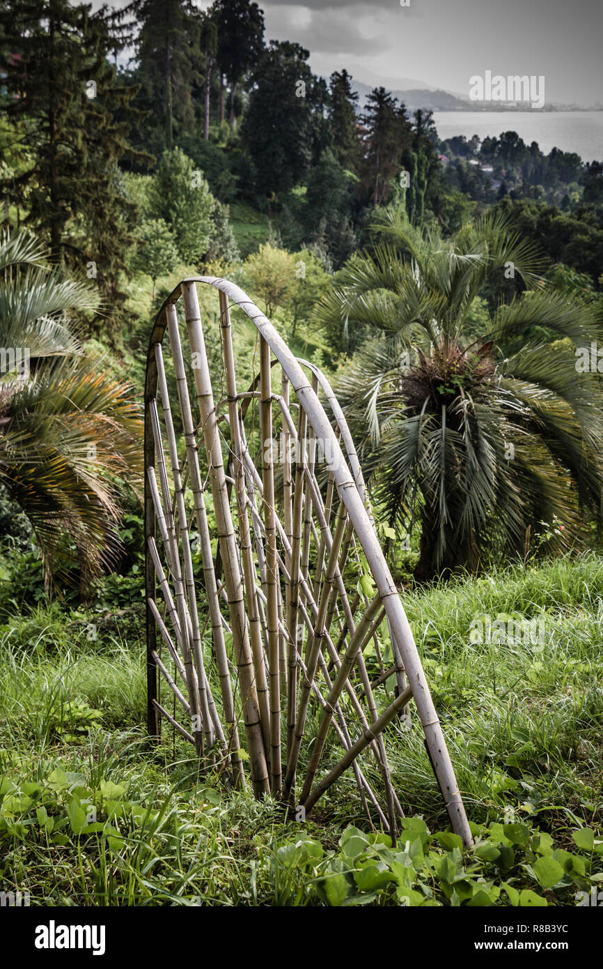 Batumi Botanischer Garten Stockfotos und bilder Kaufen Alamy