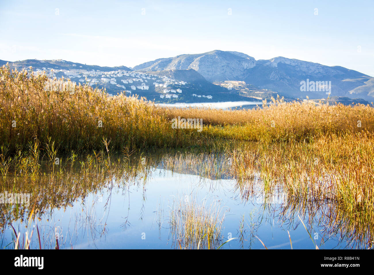 Panoramablick auf eine Vogelwarte, die in den Feuchtgebieten im Naturpark La Marjal Pego und Oliva, Spanien Stockfoto