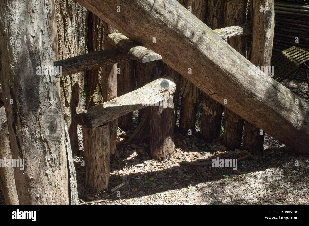Cherokee tot-fall Bear Trap, Qualla Reservierung, North Carolina. Digitale Fotografie Stockfoto