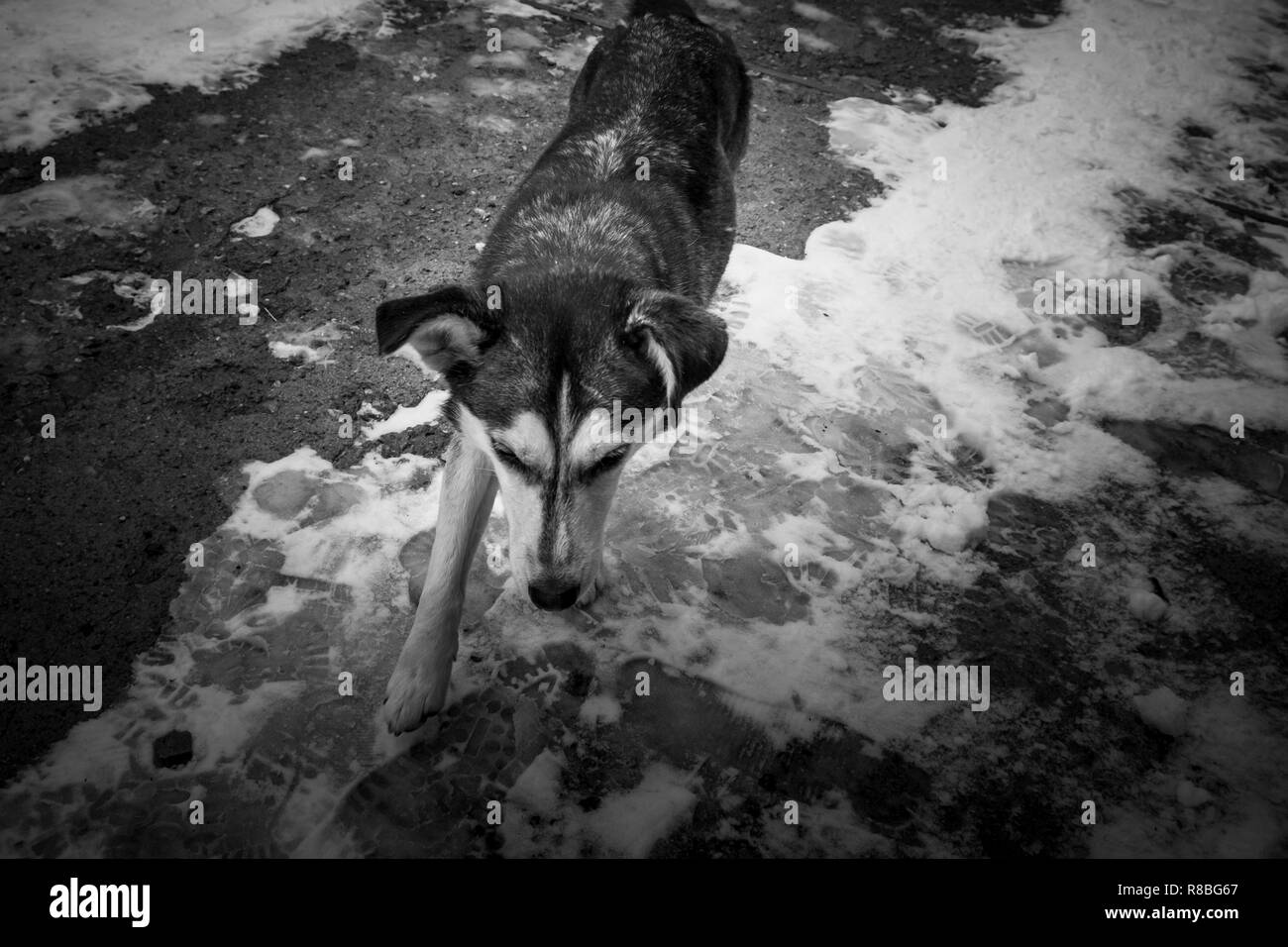 Bulgarien, Rila Kloster Stockfoto