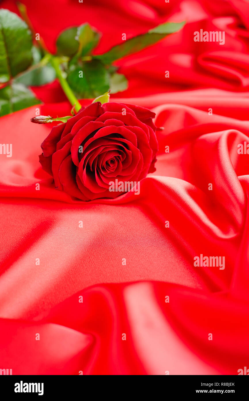 Red Rose auf rotem Satin Hintergrund Stockfoto