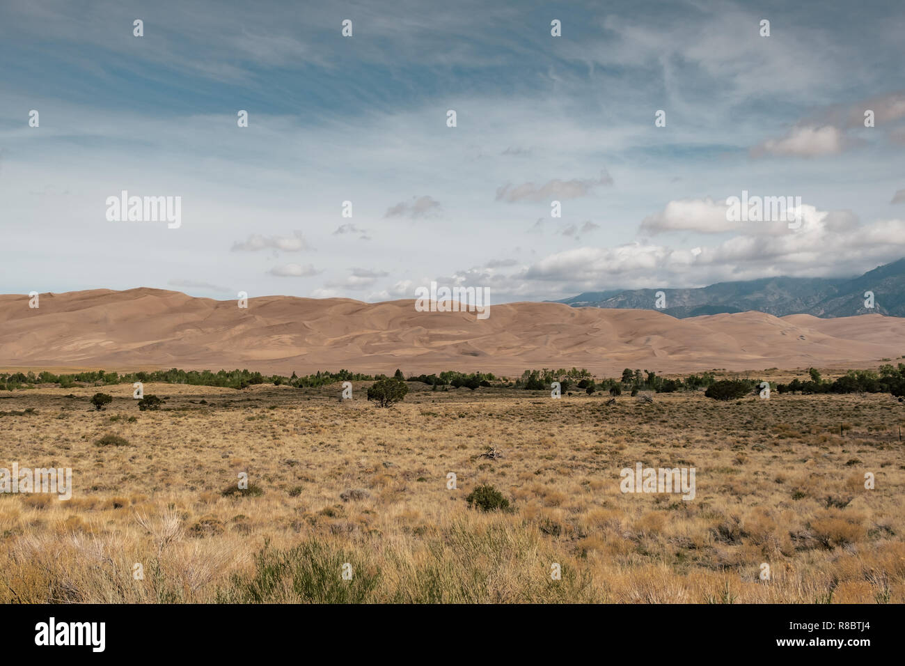 Ein Blick auf die riesige Wüste Sand Dünen im Great Sand Dunes National Park in Colorado, USA Stockfoto