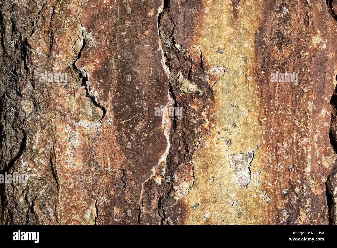 Farbe hell Textur des zerstörten Beton mit dem erscheinenden Rost und die Risse im Stil grunge im sonnigen Tag Stockfoto