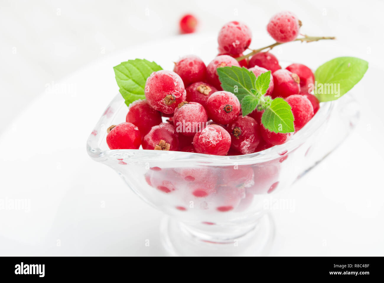 Gefrorene rote Johannisbeere mit Minze in Sauce pan Stockfoto