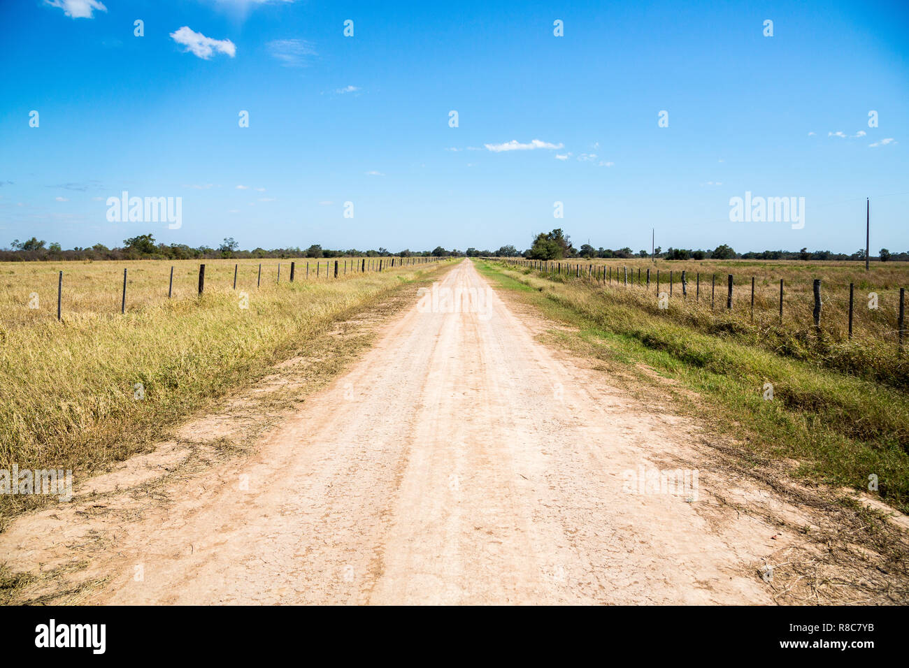 Land Schmutz der Straße verläuft zwischen Ackerland unter sonnigen blauen Himmel an einem Wintertag, in der Nähe von Filadelfia, in English mennonitische Kolonie Fernheim, Gran Chaco, Stockfoto Land Schmutz der Straße verläuft zwischen Ackerland unter sonnigen blauen Himmel an einem Wintertag, in der Nähe von Filadelfia, in English mennonitische Kolonie Fernheim, Gran Chaco, Stockfoto