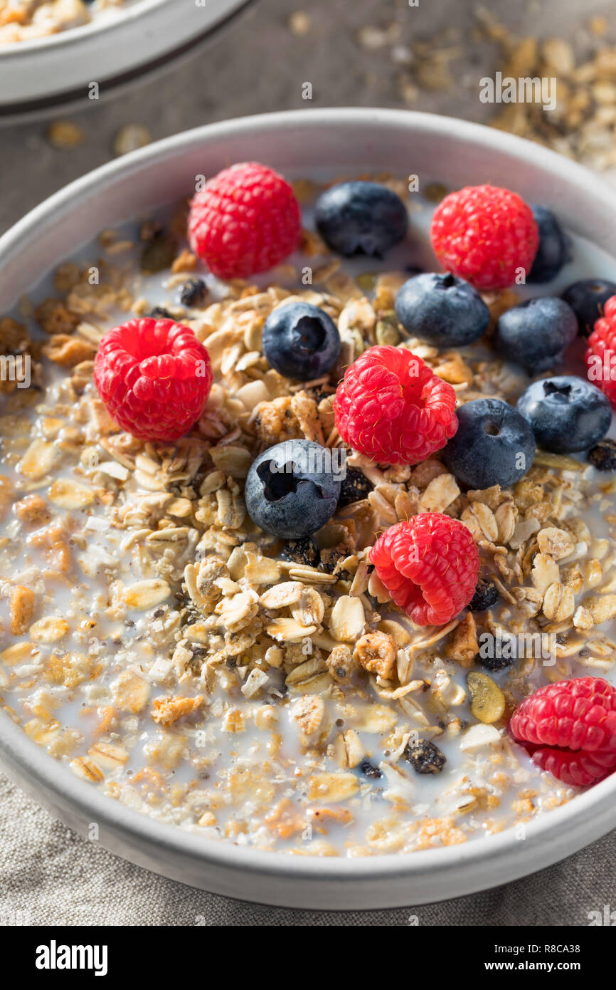 Gesunde hausgemachtem Müsli Frühstück Müsli mit Milch und Beeren Stockfoto