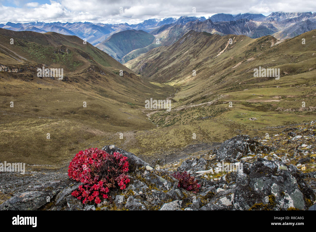Panorama von jare La (oder Jhari La) Pass, Gasa Bezirk, Snowman Trek, Bhutan Stockfoto