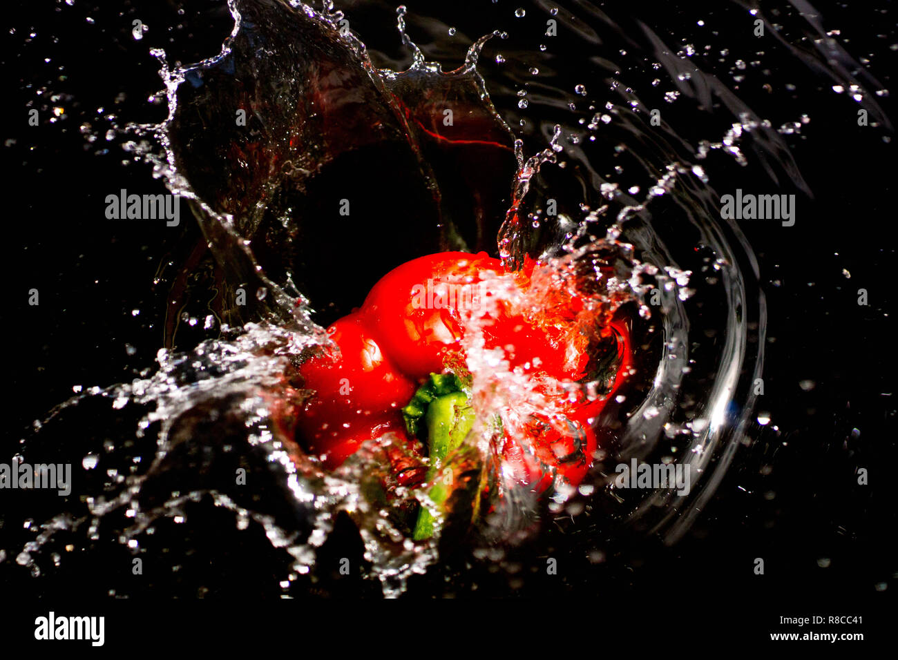 Roter Pfeffer Spritzer in Wasser mit einem schwarzen Hintergrund. Gemüse, Vitamine, gesund, Makro- und kreative Konzepte. Stockfoto