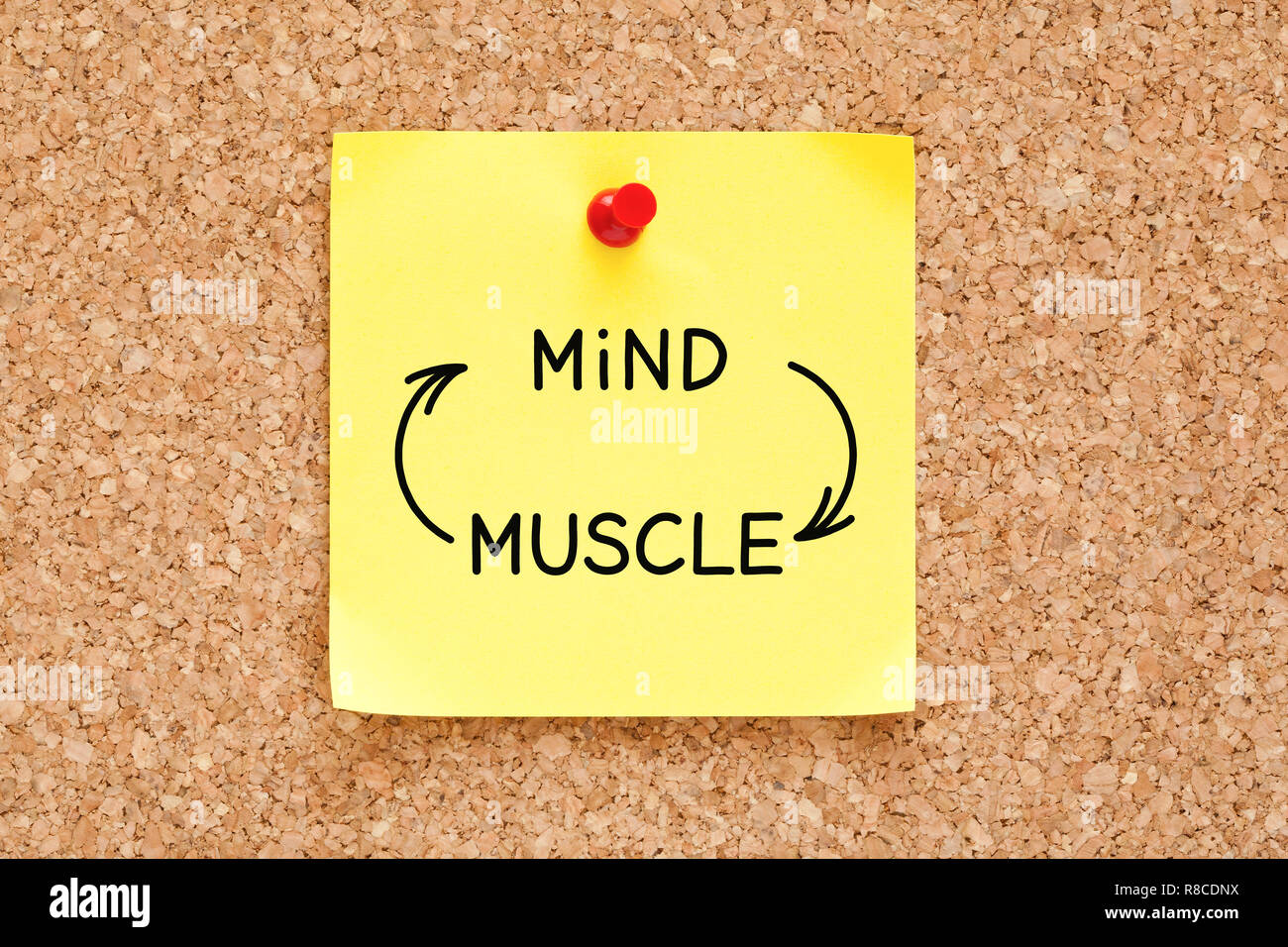 Mind-Muscle Verbindung Pfeile Konzept auf gelbe Haftnotiz auf Bulletin Kork Brett gepinnt geschrieben. Stockfoto