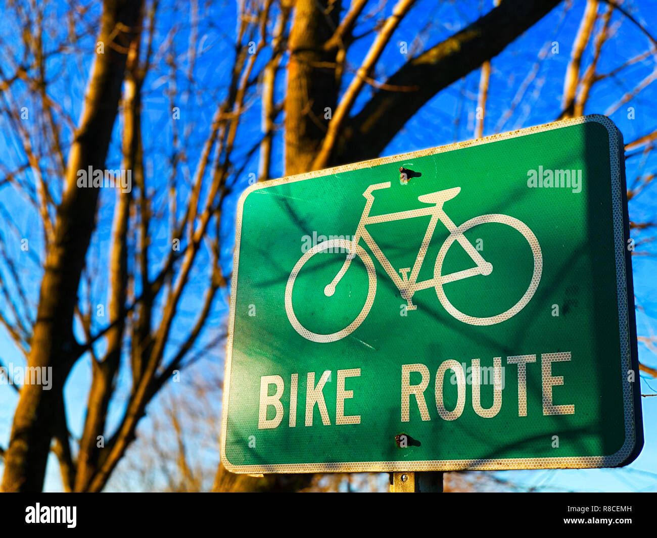 Fahrrad Route Zeichen in den Wäldern Stockfoto