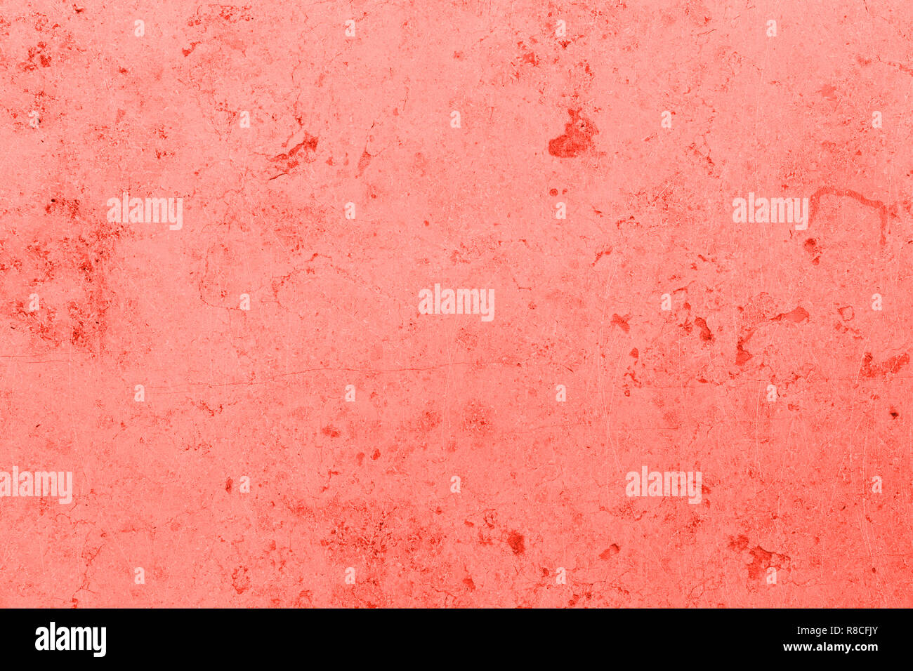 Farbe des Jahres 2019 lebende Korallen in der Helligkeit der Variationen auf eine Betonwand Stockfoto