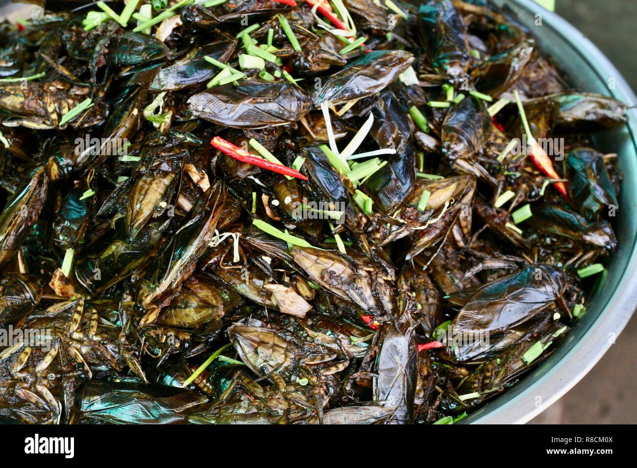 Frittierte Kakerlaken, unter anderen Insekten als Nahrung in Spider Town Kambodscha für den Verkauf als Snacks Stockfoto