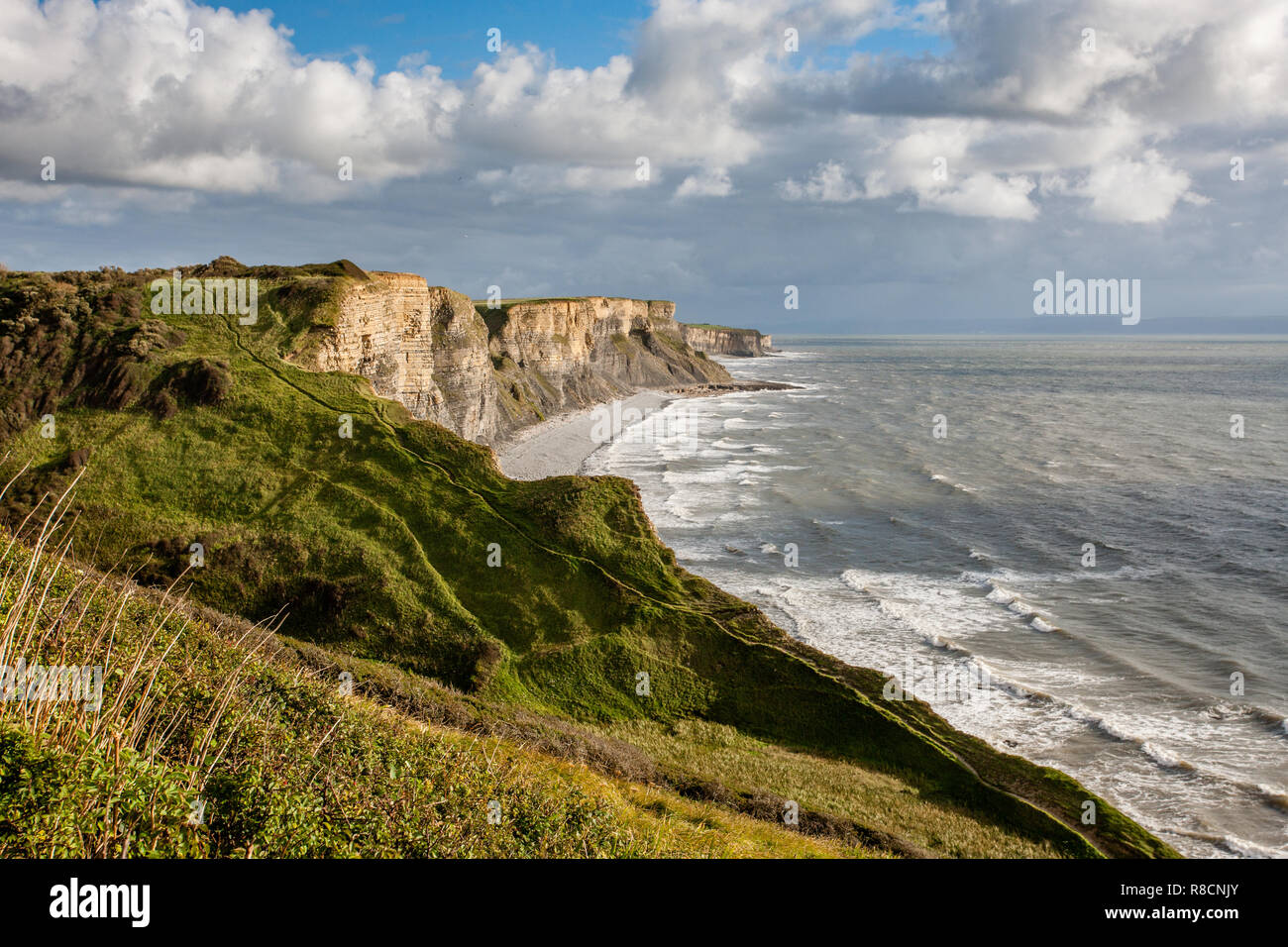 Jura, lias Kalkfelsen der Glamorgan Heritage Coast in South Wales UK Stockfoto