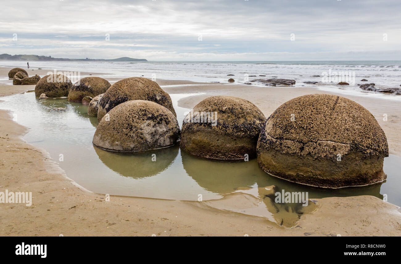 Moeraki Boulders, die sich aus dem Sand am Strand Moeraki in South Island, Neuseeland Stockfoto