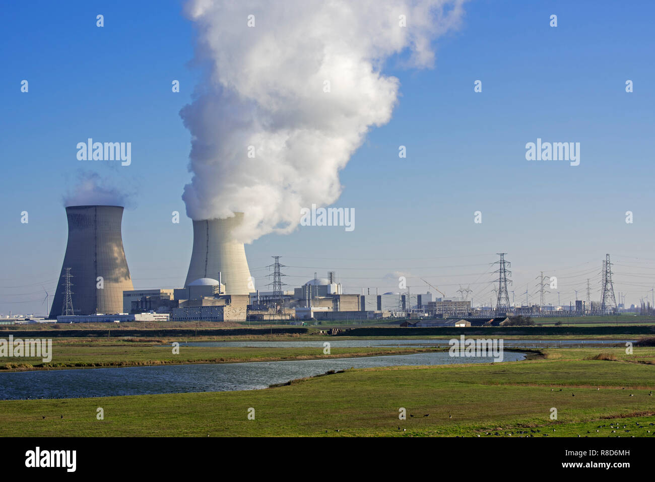 Gänse am Naturschutzgebiet Prosperpolder und die doel Atomkraftwerk/Kernkraftwerk in der Antwerpener Hafen, Flandern, Belgien Stockfoto