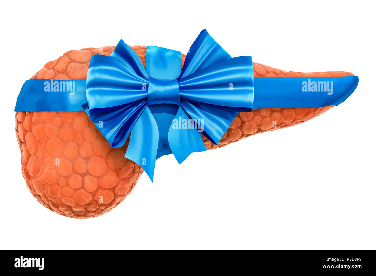 Die menschliche Bauchspeicheldrüse mit bogen und farbband. 3D-Rendering auf weißem Hintergrund Stockfoto